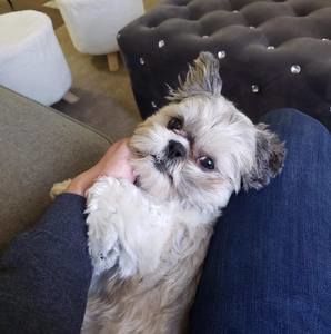 Meet your Posher, Cotton